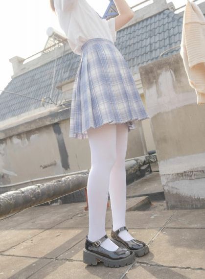 细狗网页版