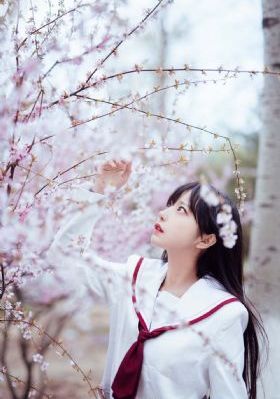 纪晓岚第二部免费完整版